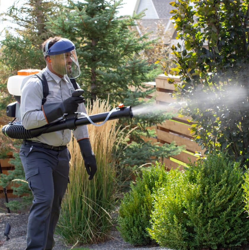 Best Mosquito Control Services In Clermont Florida