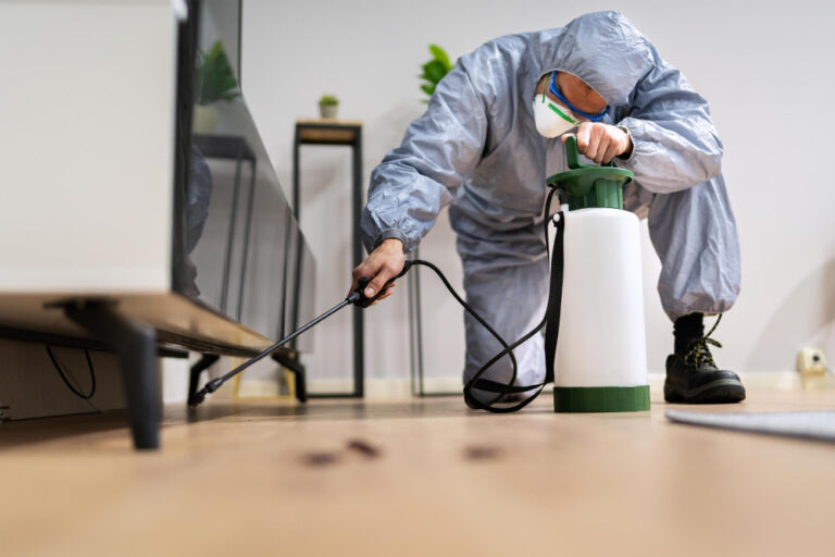 Pest Control in Groveland