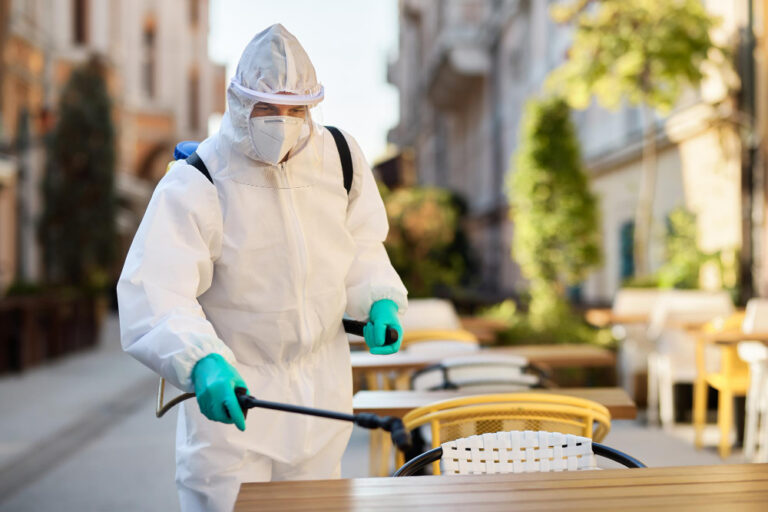 Pest Control in Minneola